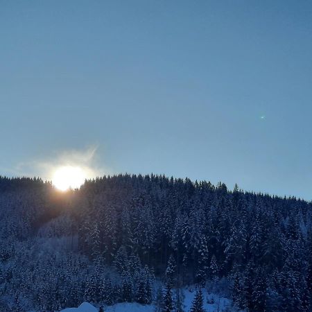 Gaestehaus Gamsblick Werfenweng Buitenkant foto