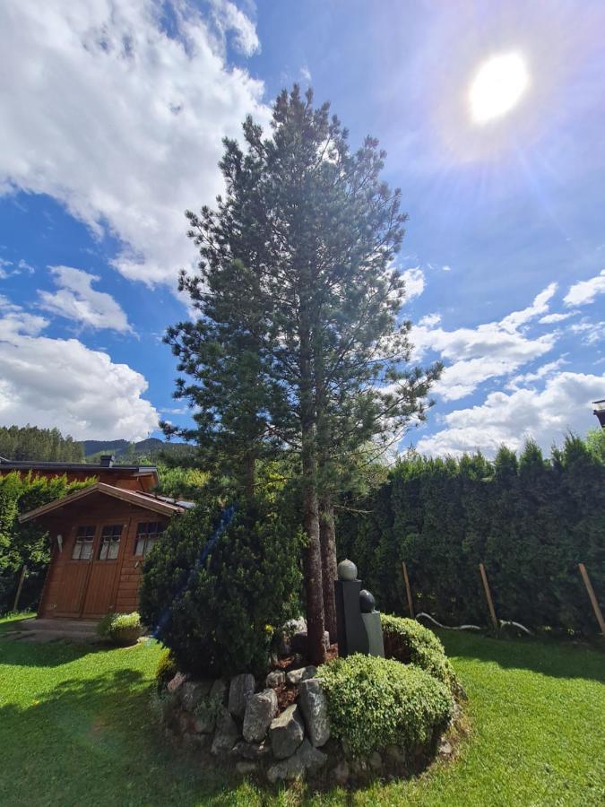 Gaestehaus Gamsblick Werfenweng Buitenkant foto
